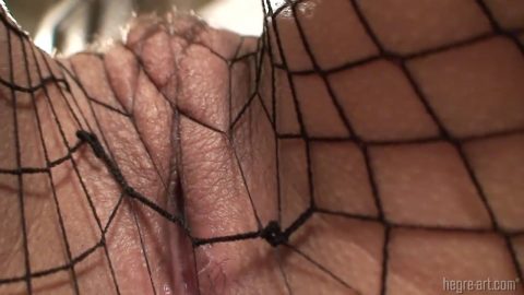 Hegre Exclusive Films - gabriella fishnet pantyhose